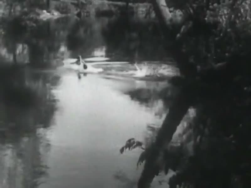 Old Swimmin' Hole