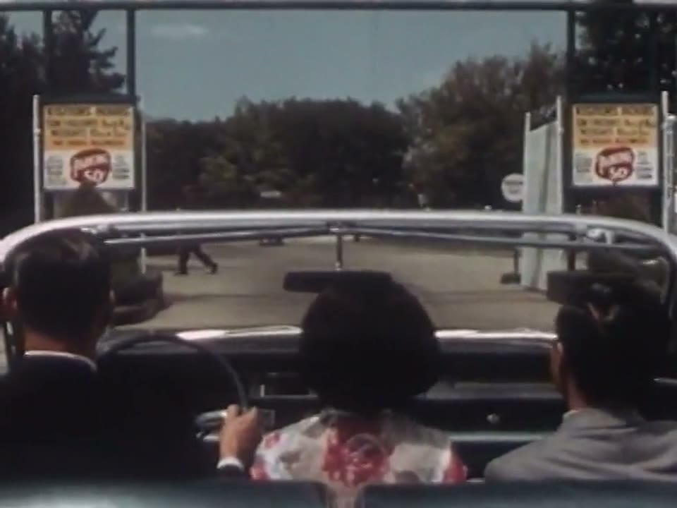 Drive-In Nights