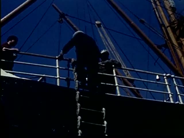 Rigging Silhouettes