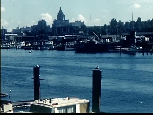 Harbor Skyline