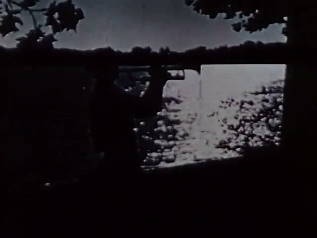 Trumpet at Dusk