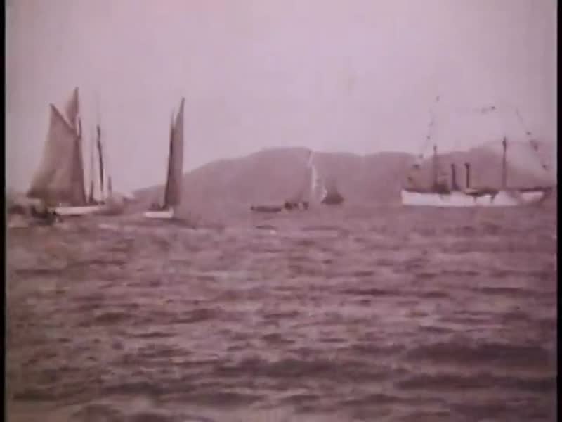 Regatta