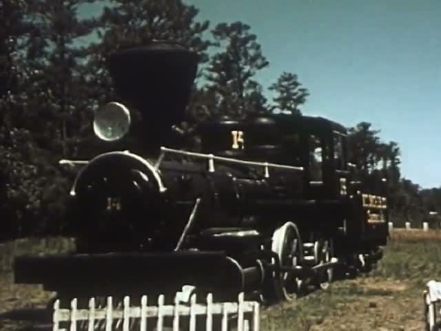 Steam Locomotive in the Field