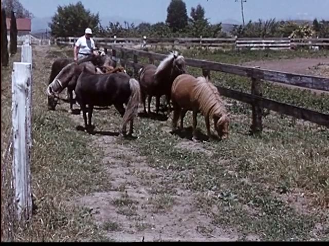 Ranch Hand at Work