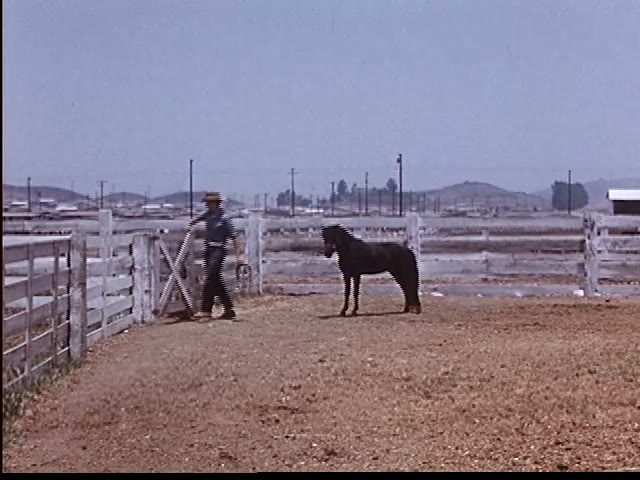 Corral Wide Shot
